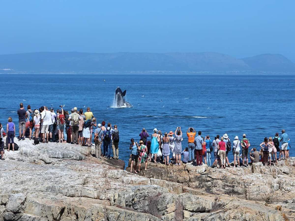 Hermanus Waterfront Apartment Camera foto
